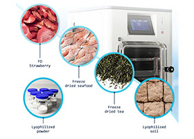 How to choose a large food freeze dryer for mass production